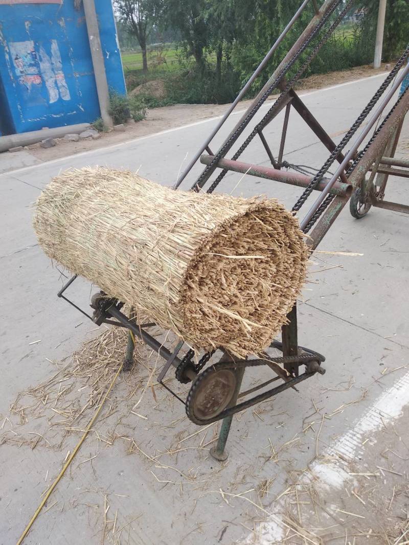 精品草帘，遮阴草帘，民建草帘，保温草帘，稻草制品