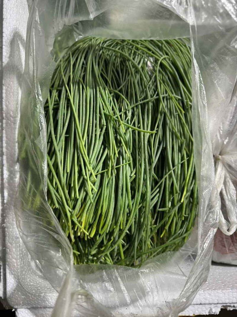 精品沙葱，品质保证，价格优惠，实力精选，产地直发