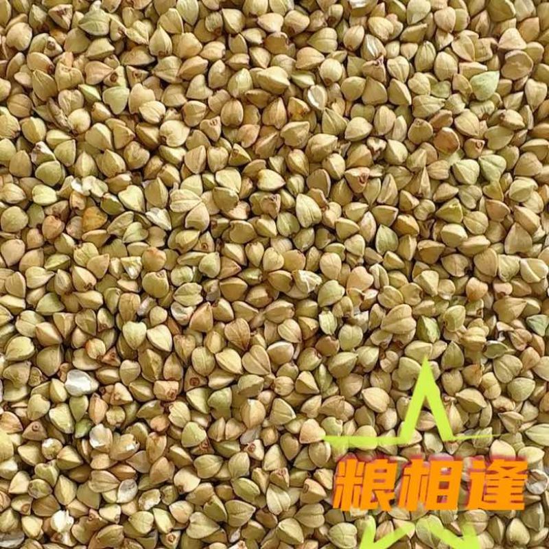 荞麦米