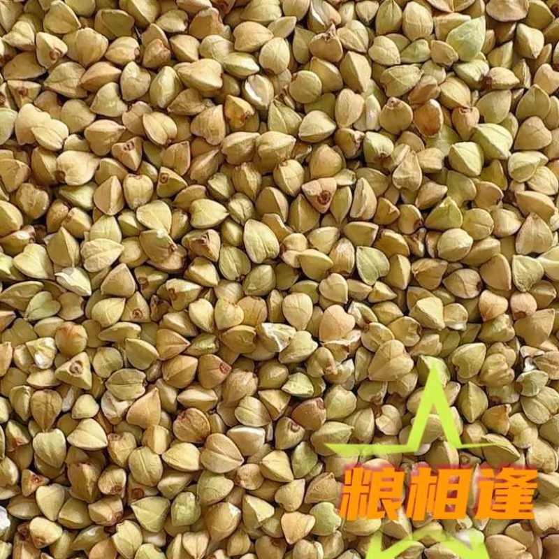 荞麦米