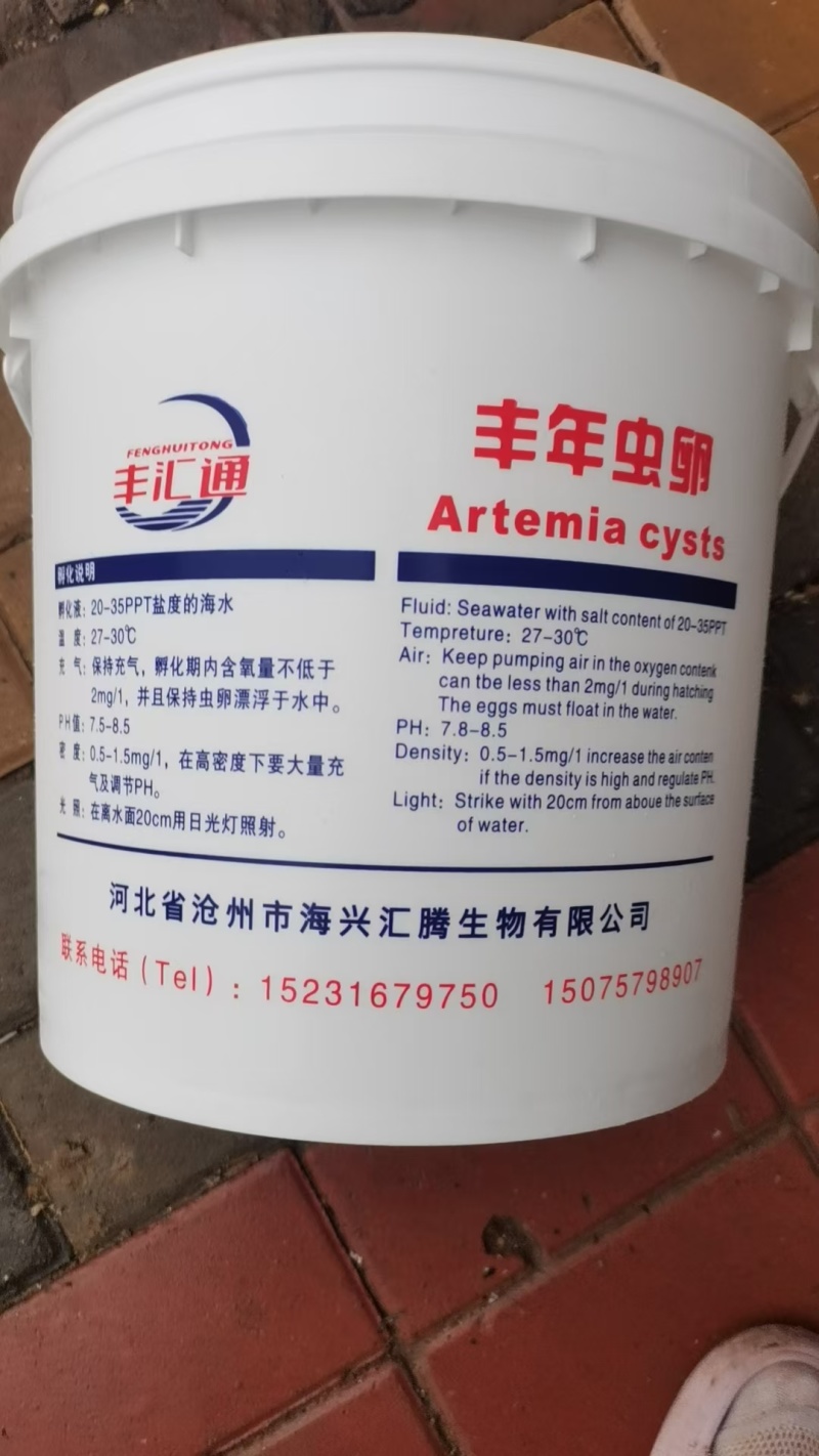 渤海湾丰年虫卵