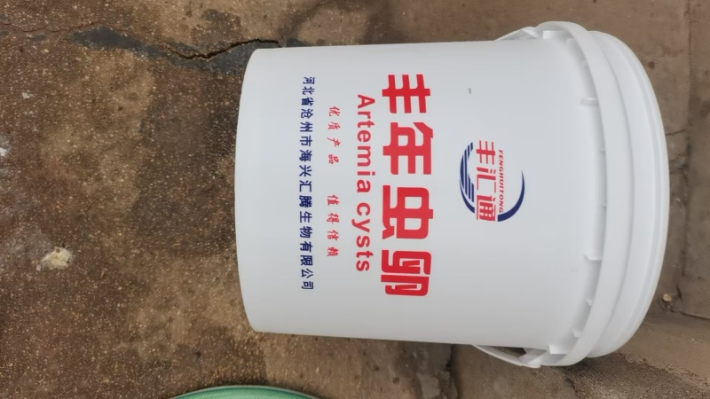 渤海湾丰年虫卵
