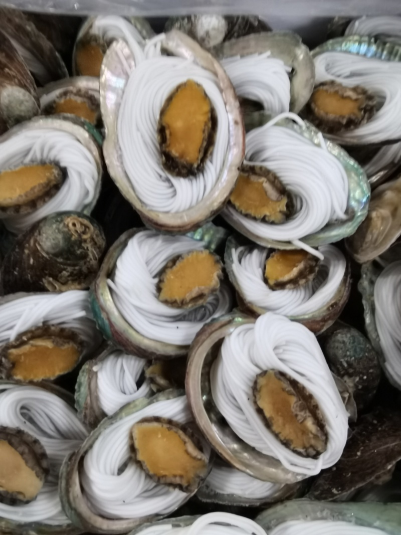 粉丝鲍鱼
