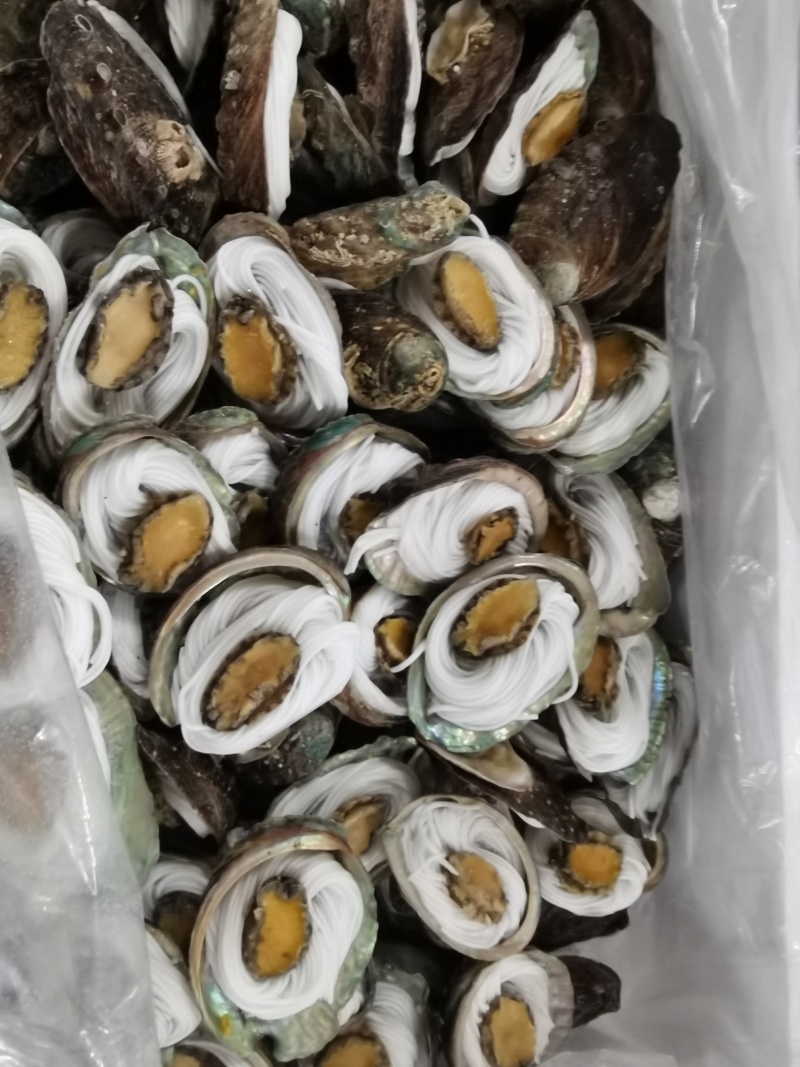 粉丝鲍鱼
