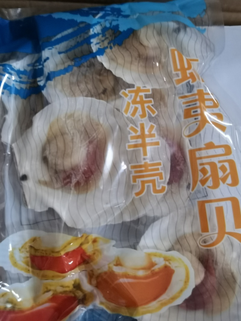 半壳虾姨扇贝