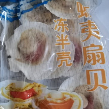 半壳虾姨扇贝
