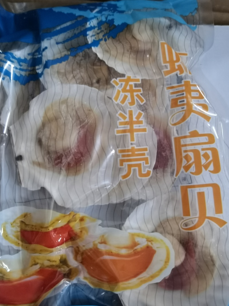 半壳虾姨扇贝