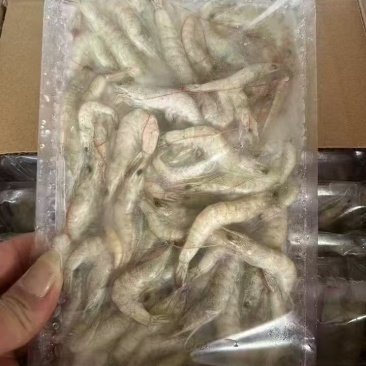 小河虾
