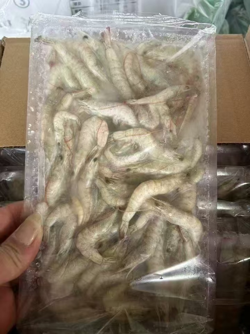 小河虾