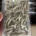 小河虾
