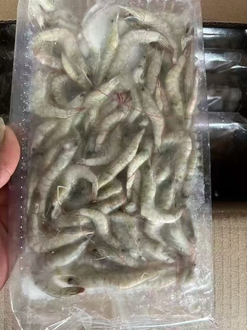 小河虾
