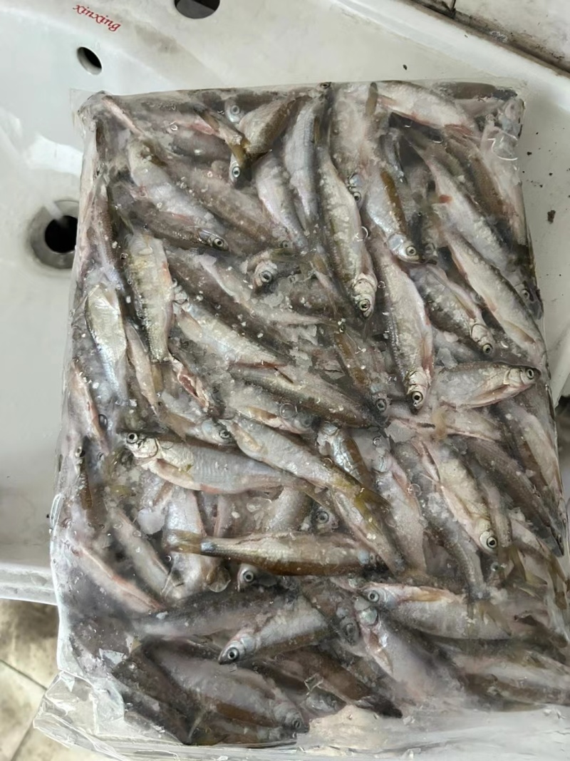 小河鱼
