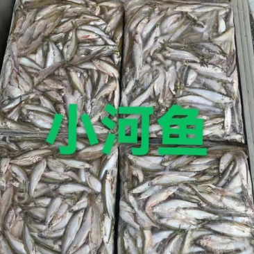 小河鱼