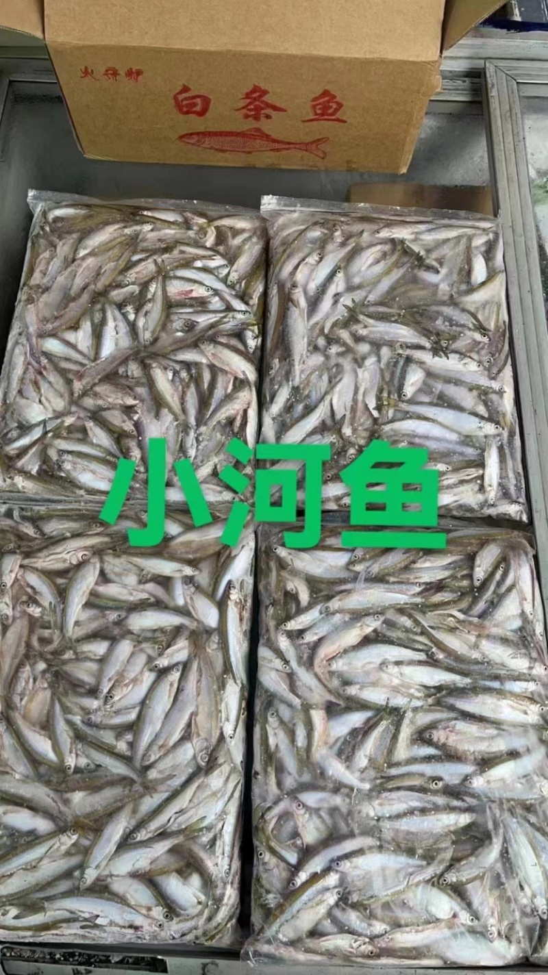 小河鱼