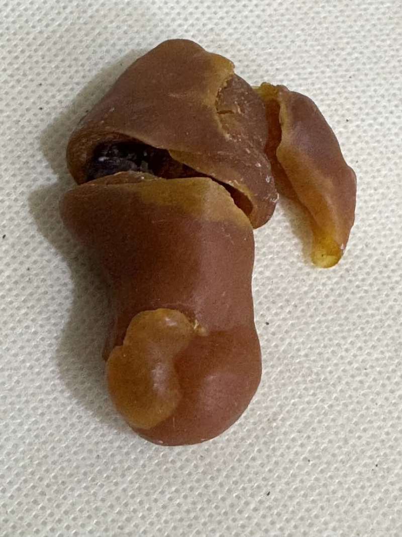 鸡宝