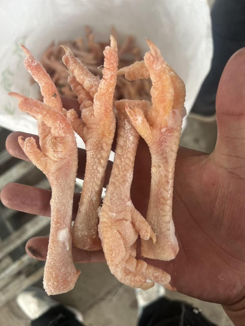 老鸡爪蛋鸡爪老母鸡爪