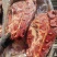 带骨牛脖肉