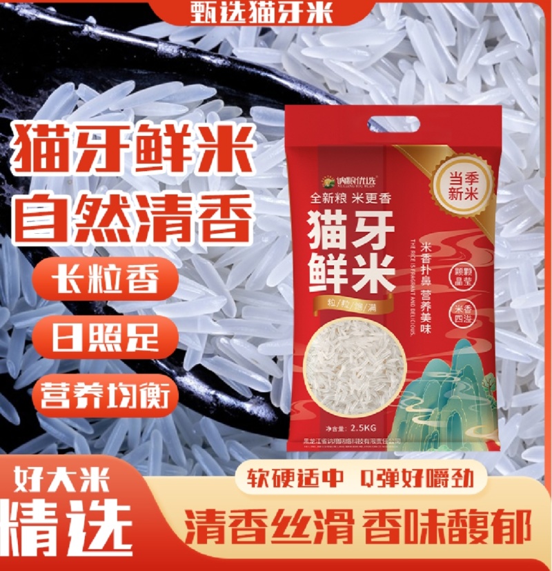 猫牙米电商代发批发