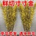 寸寸金鲜切花各种规格