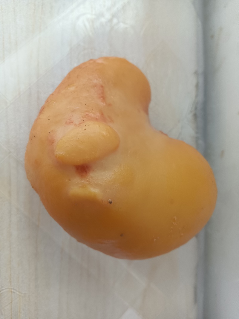 鸡宝