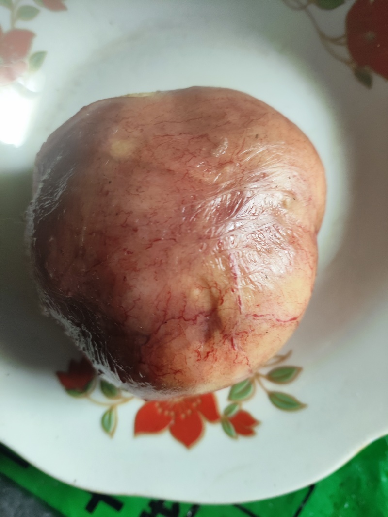 鸡宝