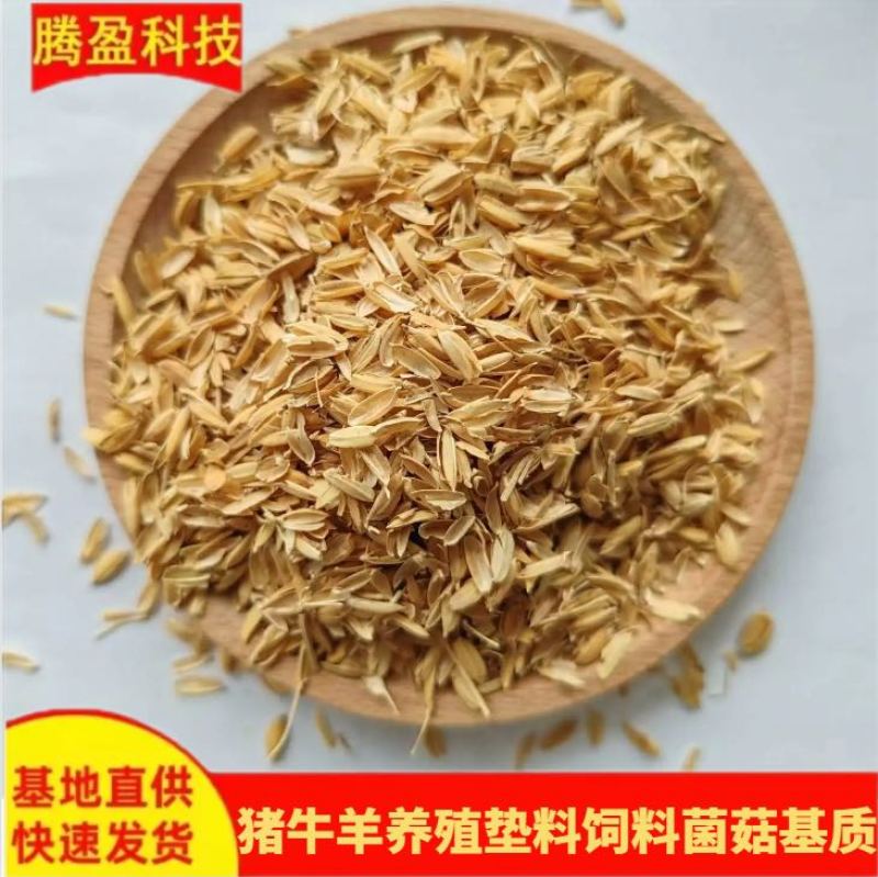 稻壳批发酒厂酿酒酿醋基质干净无霉变养殖垫料稻谷壳