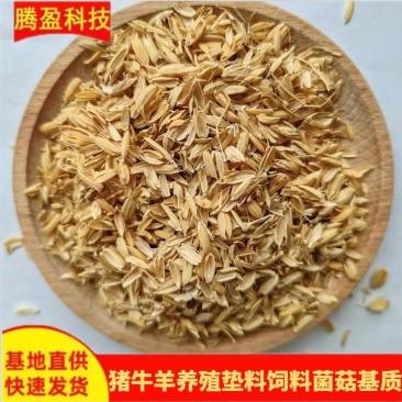 稻壳批发酒厂酿酒酿醋基质干净无霉变养殖垫料稻谷壳