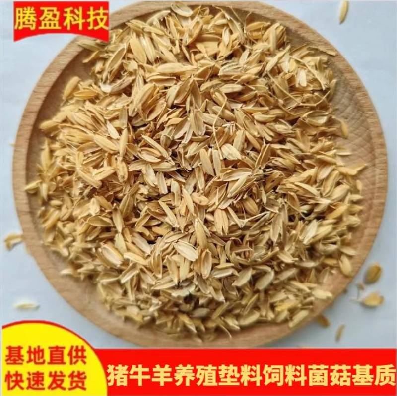 稻壳批发酒厂酿酒酿醋基质干净无霉变养殖垫料稻谷壳