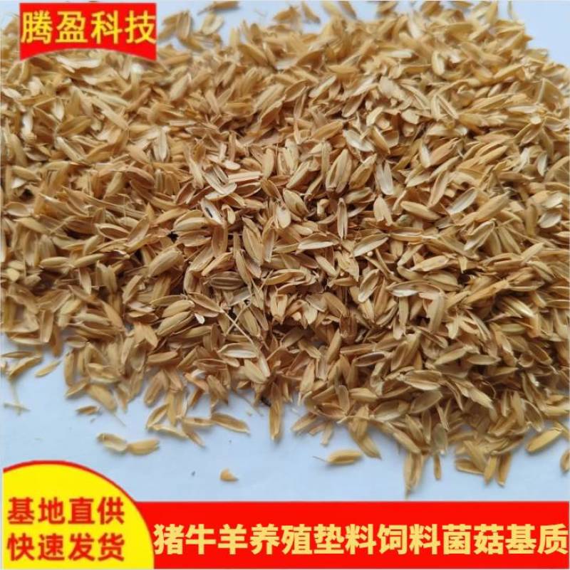 稻壳批发酒厂酿酒酿醋基质干净无霉变养殖垫料稻谷壳