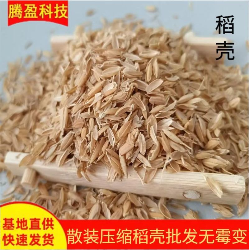 稻壳批发酒厂酿酒酿醋基质干净无霉变养殖垫料稻谷壳
