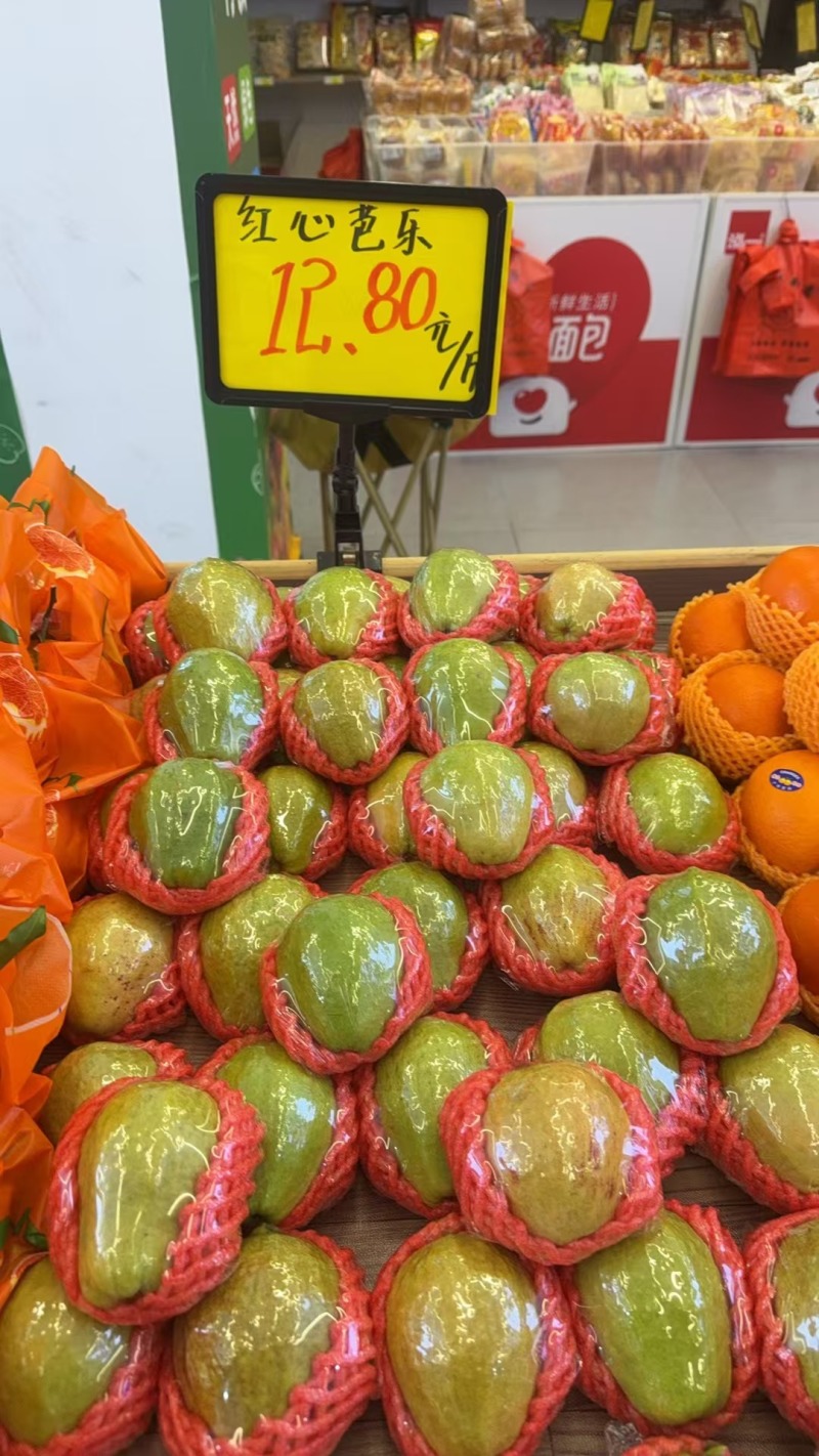 福建漳州红心芭乐直销