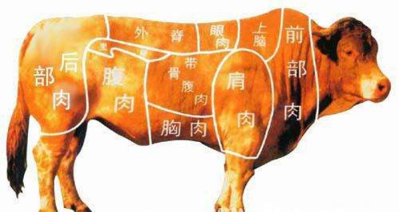 巴西42牛前部位肉！牛后部位肉！现货特价销售！如有需要请联