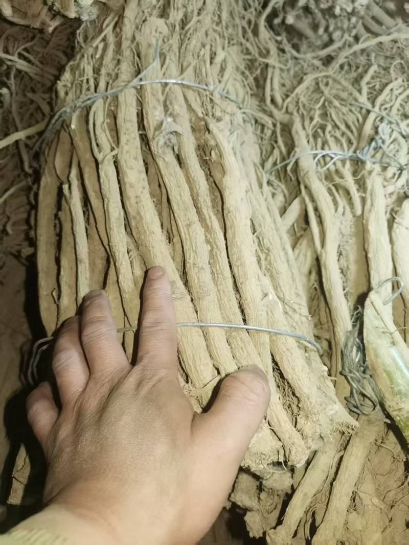 川牛膝大统货