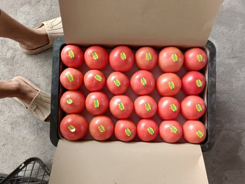 量大品好