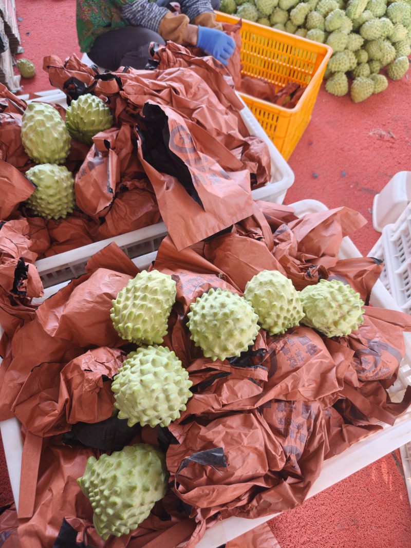 云南释迦果