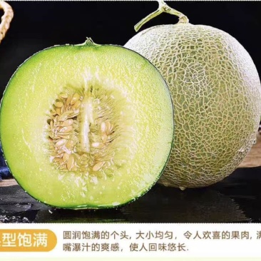网纹瓜软糯香甜爽口汁现摘现发每南原产地直发