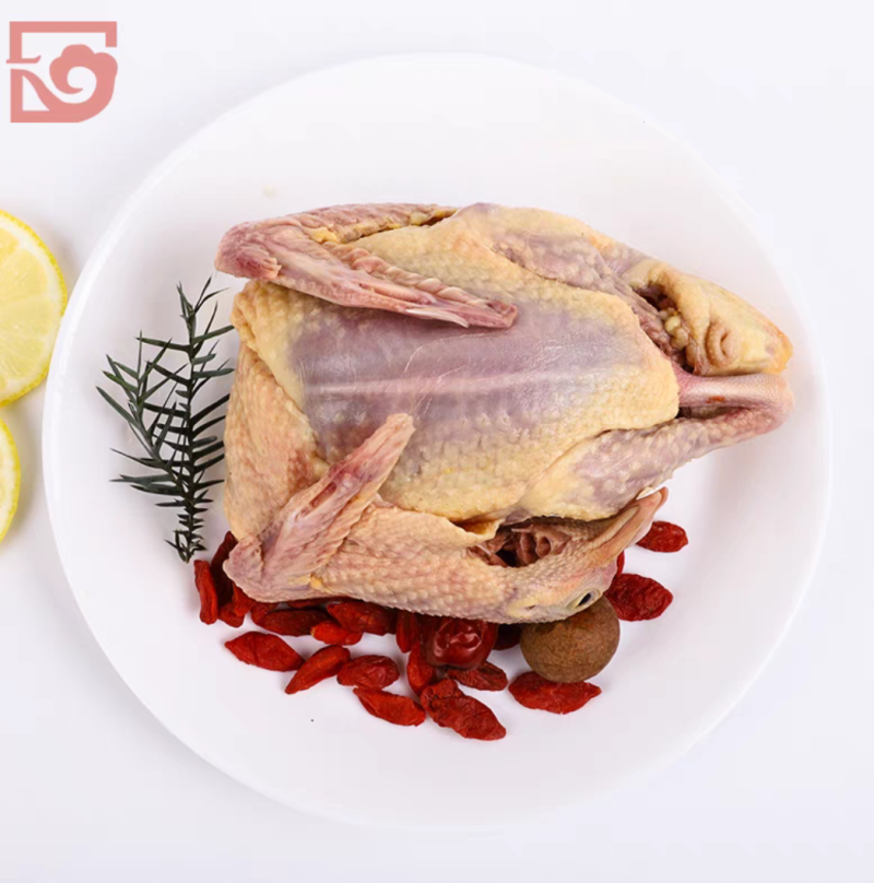 乳鸽批发新鲜现杀脆皮乳鸽红烧卤水乳鸽专用厂家直销5-7两/只