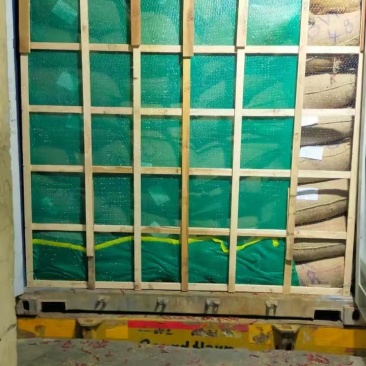 s17印度进口辣椒