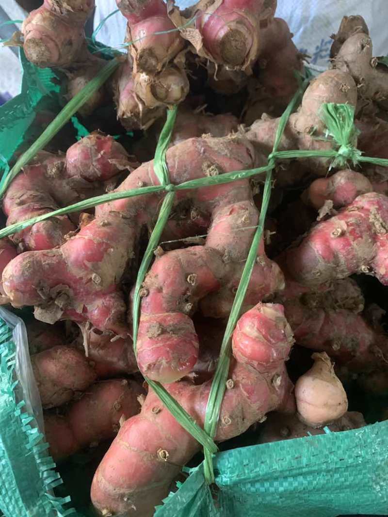 潮汕山姜南姜，原产地直发，精品货通货都有，规格齐全
