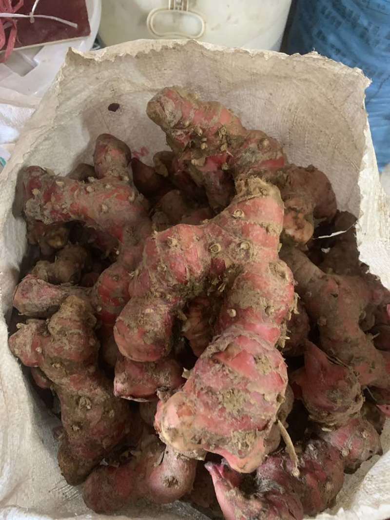 潮汕山姜南姜，原产地直发，精品货通货都有，规格齐全
