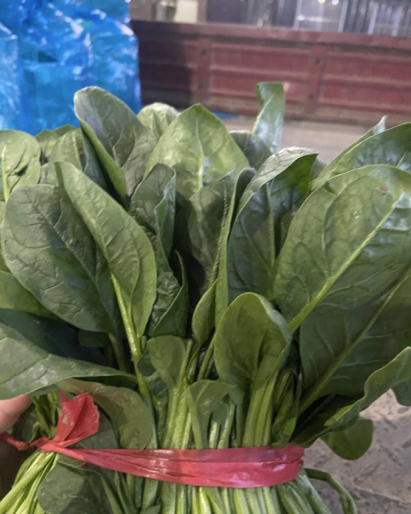 精品菠菜