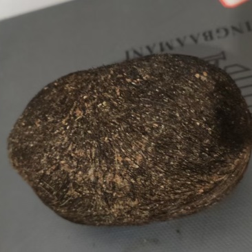 我有猪宝想出售