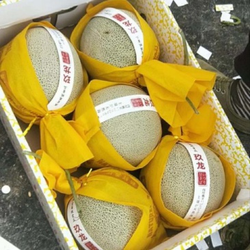 海南晓蜜二十五海沙地，欢迎各位老板