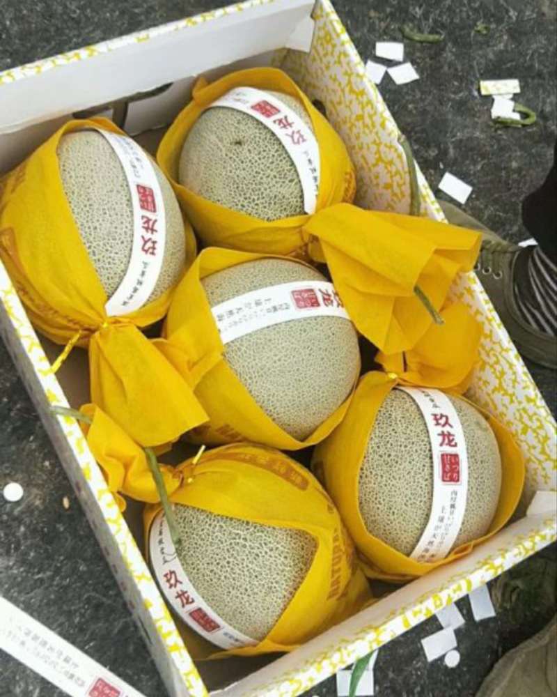 海南晓蜜二十五海沙地，欢迎各位老板