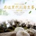鹅蛋一件代发全网**代发价格80到100克
