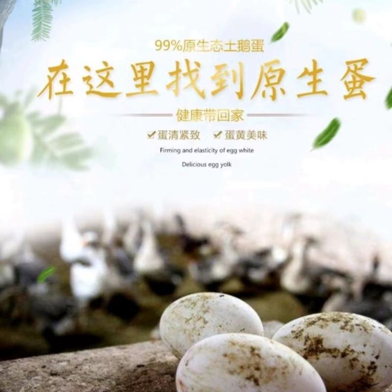 鹅蛋一件代发全网**代发价格80到100克