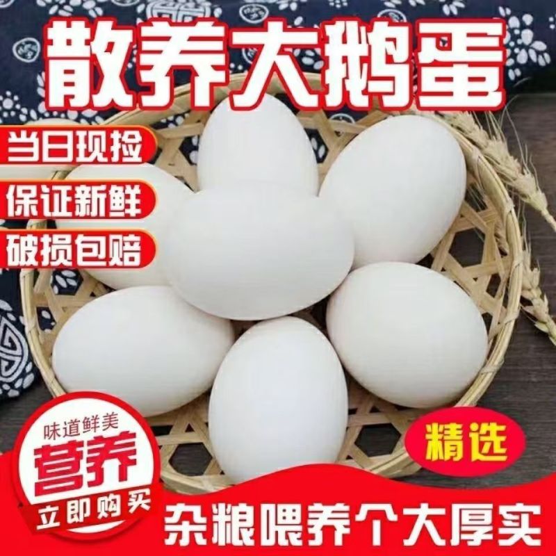 鹅蛋一件代发全网**代发价格80到100克