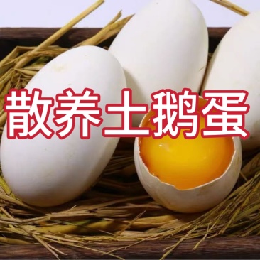 鹅蛋一件代发全网**代发价格80到100克