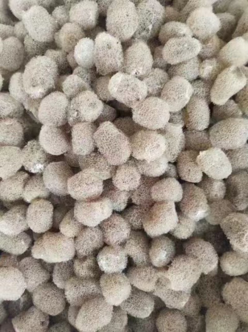 苏南，种苗，卵茧，小苗，半月苗，满月苗，供应