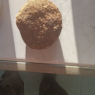 一个，重量一百克，